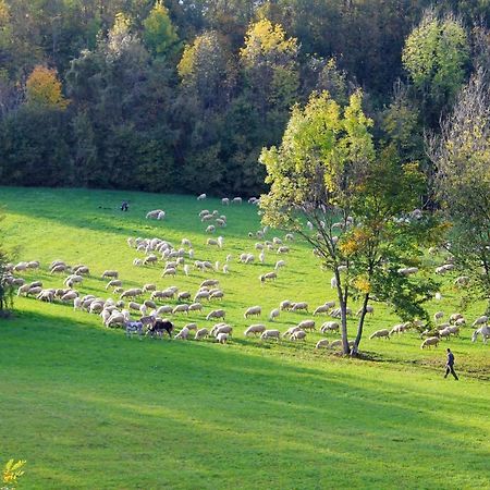 Appartamento De Bati Belluno Esterno foto