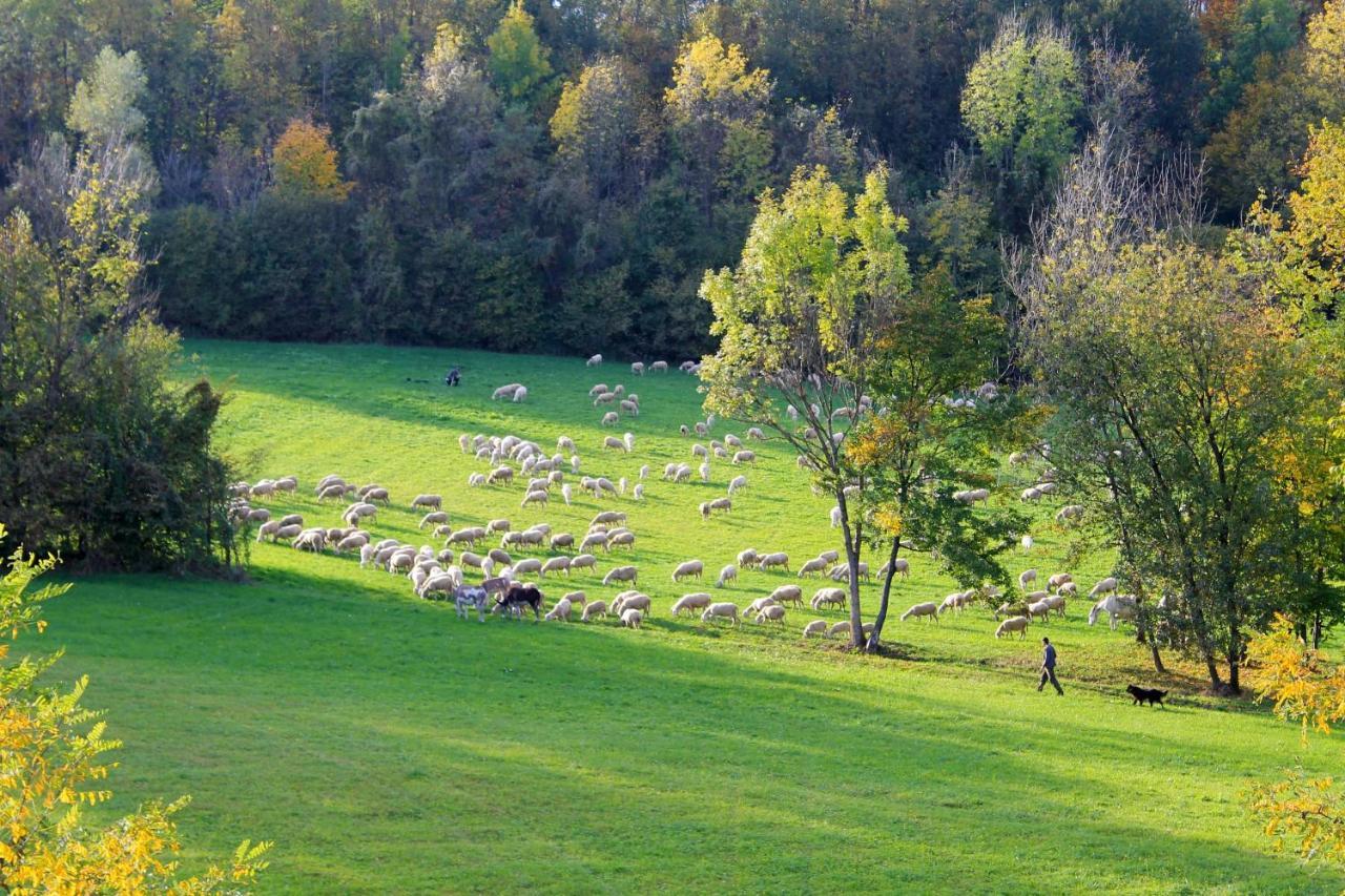 Appartamento De Bati Belluno Esterno foto